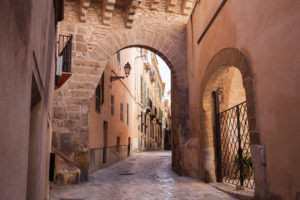 Sightseeing Palma de Mallorca